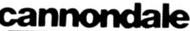 Cannondale 2