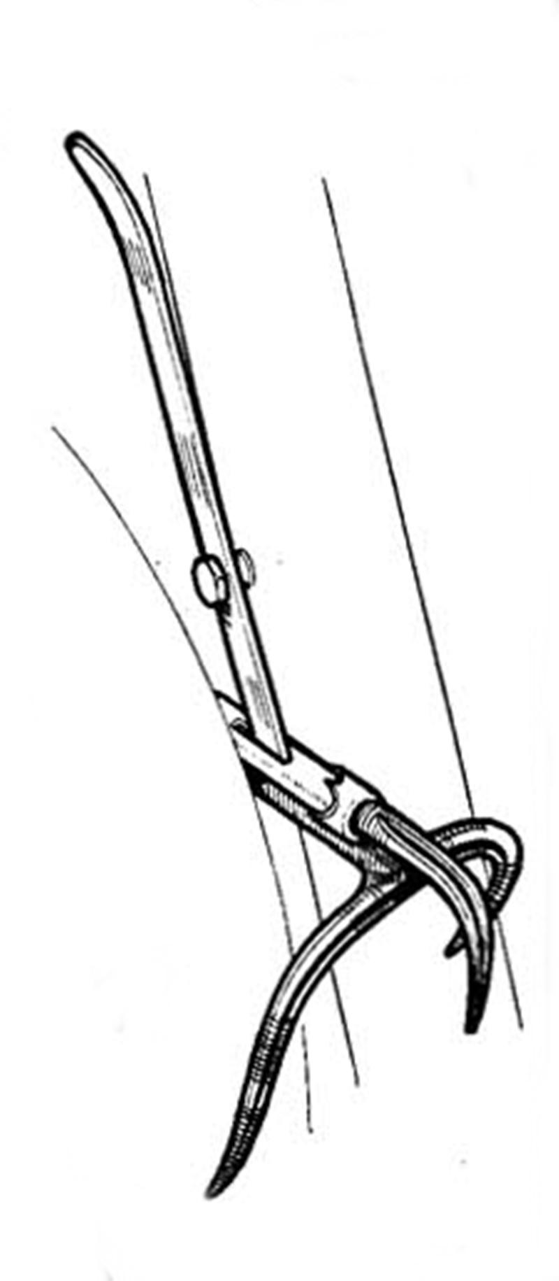 Derailleur jo routens 1949 variante ultra legere le cycle croquis de daniel rebour