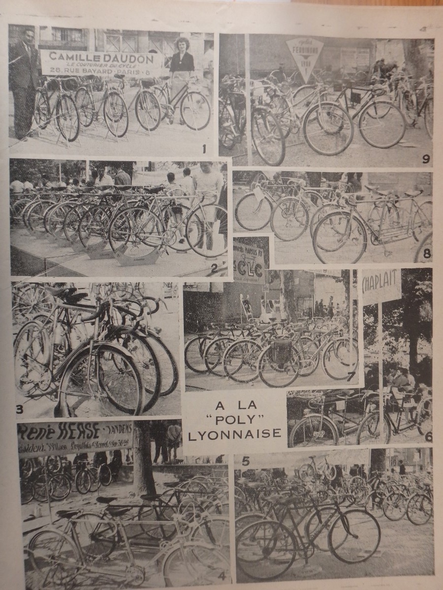 Le cycle 1951