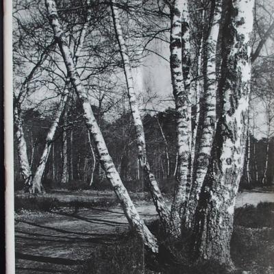 Cyclotourisme 1969 - 11 - N°170 Novembre 1969