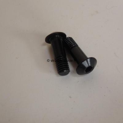 jeu de 2 vis Ergal pour roulette dérailleur arriére 5x15mm anodisé noir. NOS