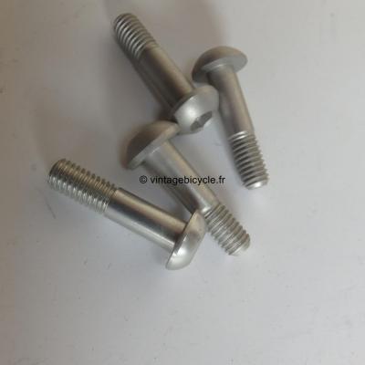 Universal V-Brake/ Canti Arm Mounting Ergal Bolt 6x25mm (4) NOS Silver