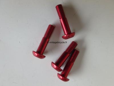 Universal V-Brake/ Canti Arm Mounting Ergal Bolt 6x25mm (4) NOS Red