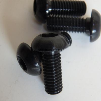 Universal V-Brake/ Canti Arm Mounting Ergal Bolt 6x15mm (4) NOS Black