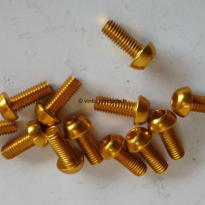 1 vis Ergal 6x15mm anodisé or pour porte-bidon. NOS