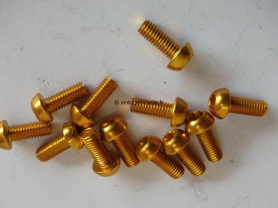 1 Bolt Screw 5x12 Ergal gold anodized for Bottle Holder Cage. NOS