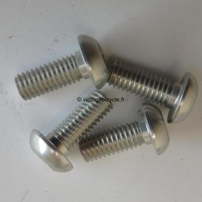 Universal V-Brake/ Canti Arm Mounting Ergal Bolt 6x15mm (4) NOS Silver