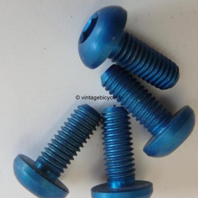 Universal V-Brake/ Canti Arm Mounting Ergal Bolt 6x15mm (4) NOS Blue