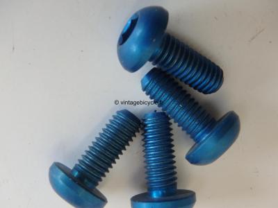 Universal V-Brake/ Canti Arm Mounting Ergal Bolt 6x15mm (4) NOS Blue