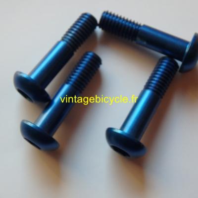 Universal V-Brake/ Canti Arm Mounting Ergal Bolt 6x25mm (4) NOS Blue