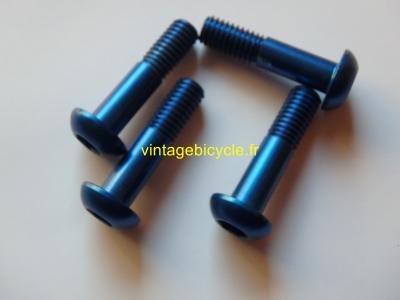 Vis Ergal universelles pour Cantilver et V-Brake (4) 6x25mm NOS Bleu