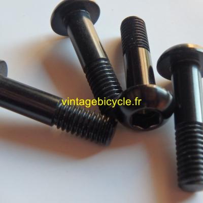 Universal V-Brake/ Canti Arm Mounting Ergal Bolt 6x25mm (4) NOS Black