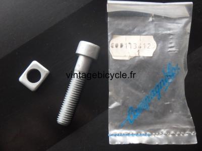 Campagnolo Seatpost fixing screw and washer for Record NOS