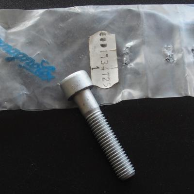 Campagnolo Vis de tige de selle Record NOS