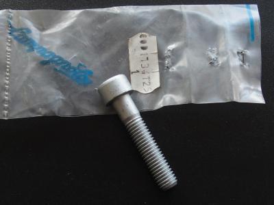 Campagnolo Seatpost fixing screw for Record NOS